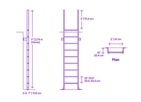 Elle Faye's Vertical Dimension and Physical Specifications