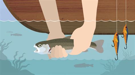 Embarking on the Journey: The Art of Catch and Release