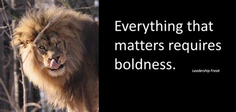 Embrace the Boldness