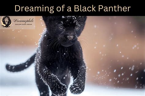 Embracing Change and Transformation: Exploring the Significance of Dreaming about a Baby Black Panther in Personal Growth