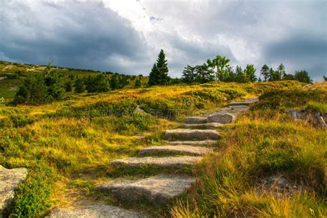 Embracing Nature: Finding Peace and Tranquility amidst the Charm of a Historical Homestead