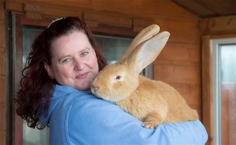 Embracing Symbolism: Deciphering the Enigma of the Colossal Rabbit Vision