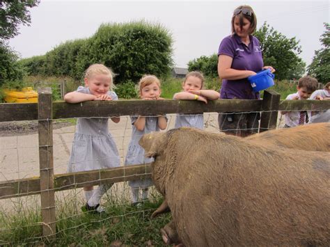 Embracing the Pleasures of Farm Activities and Animal Interactions