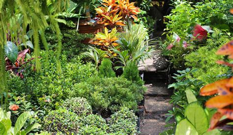 Embracing the Splendor and Advantages of Eco-friendly Gardens