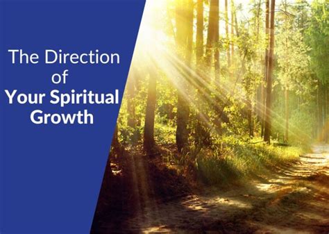 Embracing the Wisdom and Direction of Your Spiritual Mentor