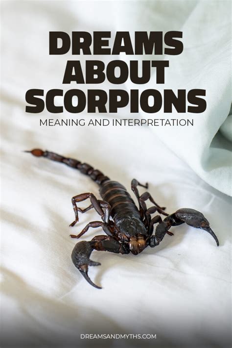 Emotional Meanings of Scorpion Dreams