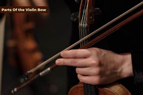 Emotional Significance of the Shattered Violin Bow