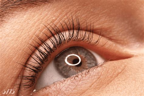 Enhance Your Lashes Naturally: Explore Alternative Methods to Achieve Luscious Eyelashes