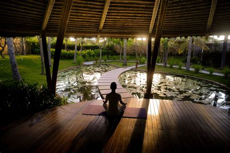 Enhancing Creativity and Relaxation through Grass Meditation