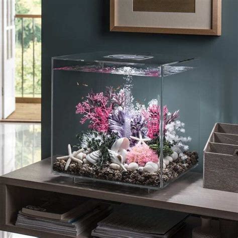 Enhancing Your Fish's Habitat: Stylish Decorations and Tank Accessories