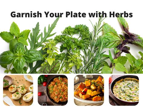 Enhancing the Taste of Your Dishes with Aromatic Fresh Herbs