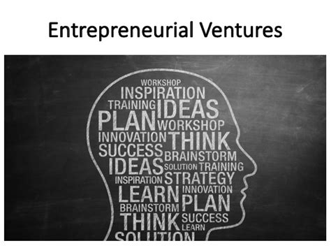 Entrepreneurial Pursuits and Financial Ventures