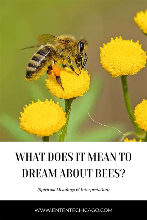 Escaping Bees in Dreams: A Whirlwind of Emotions