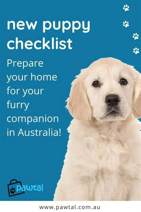 Essential Supplies for Your New Furry Companion: A Complete Checklist