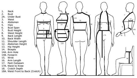 Estare's Height Revealed