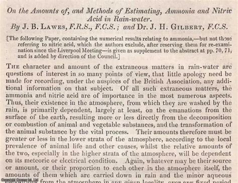 Estimating Amoniee Romane's Wealth