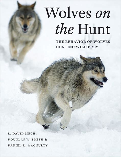 Examining the Role of Power and Control in Wolf Hunt Dreams