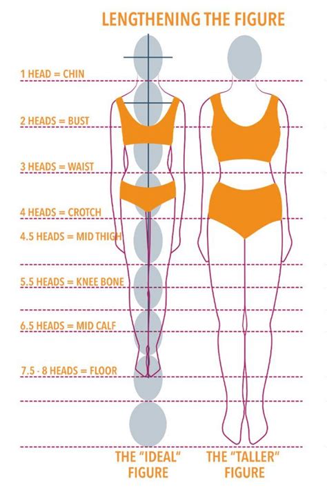 Explore Lara K's Height and Body Proportions