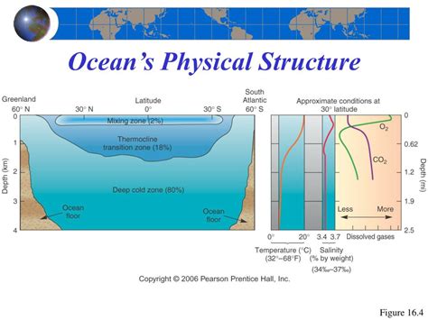 Exploring Anee Ocean's Physical Appearance