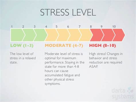 Exploring Anxiety and Stress Levels