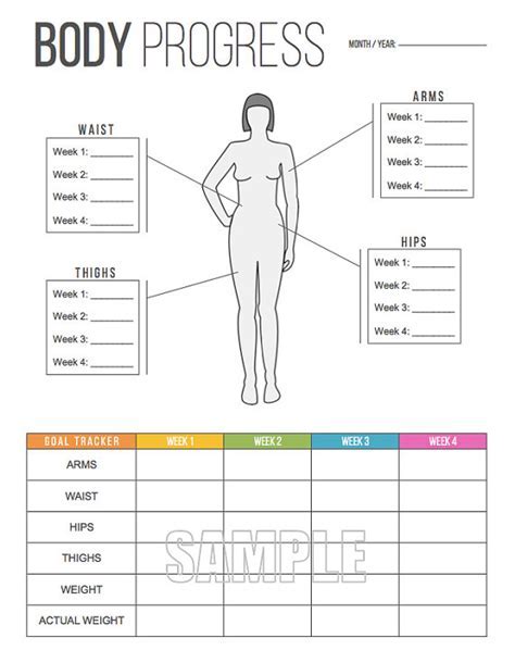 Exploring Ashley Evans' Physical Proportions and Body Measurements