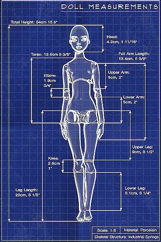 Exploring Cherry Doll's Height and Figure Measurements