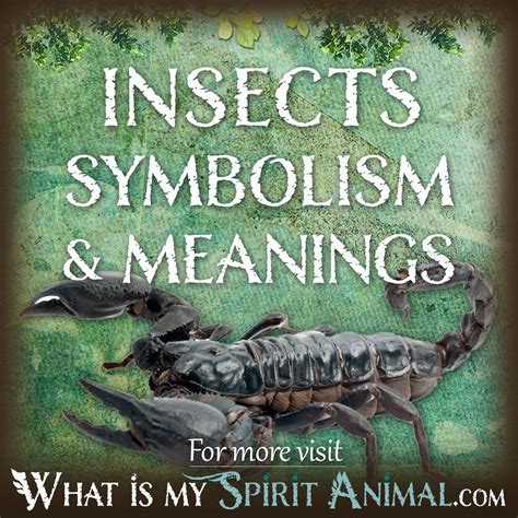 Exploring Common Meanings of Insect-Associated Dream Symbols