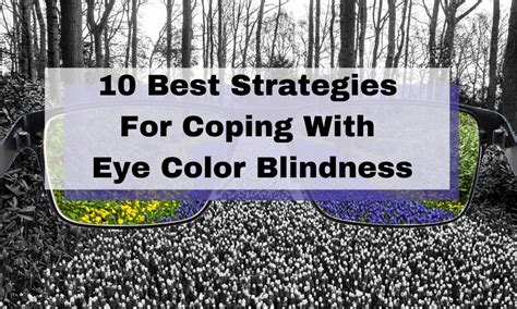 Exploring Coping Strategies for Individuals with Color Vision Deficiency: From Assistive Technologies to Innovative Approaches