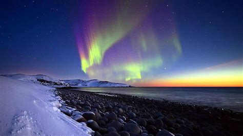 Exploring Cora Borealis' Fascinating Life