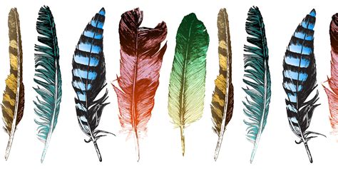 Exploring Cultural Significance: Green Feathers in Different Traditions