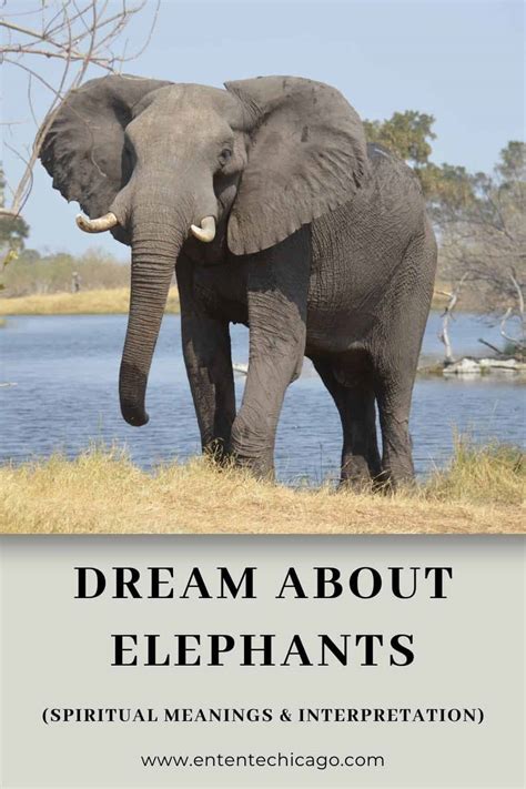 Exploring Cultural and Spiritual Beliefs Associated with Elephants in Dream Interpretation