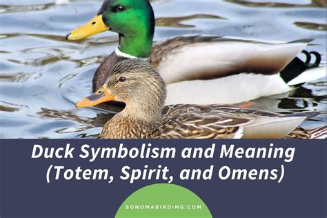 Exploring Cultural and Symbolic Meanings of Ducks