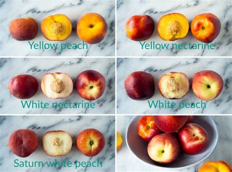 Exploring Different Varieties: From White Peach to Yellow Peach