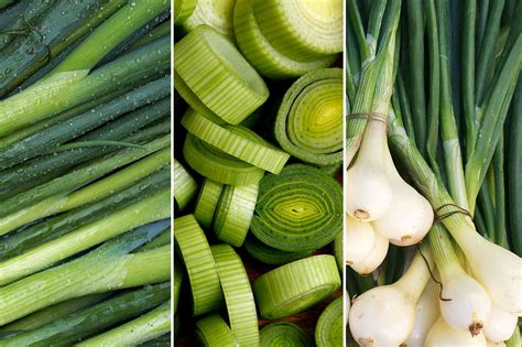 Exploring Different Varieties: from Scallions to Spring Onions