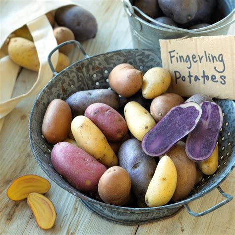 Exploring Different Varieties of Uncooked Spuds: From Starchy Russets to Petite Fingerlings