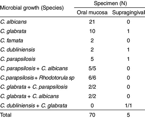 Exploring Fungal Presence in Oral Cavity Reveries: An Introspective and Communal Encounter