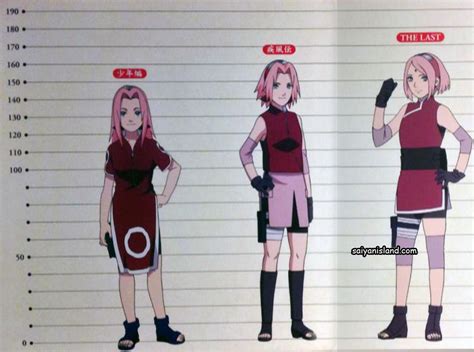 Exploring Jun Sakura's Height and Figure