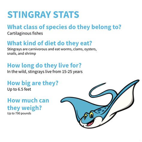 Exploring Stingray's Physical Height: