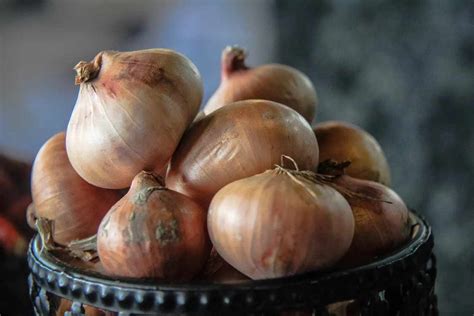 Exploring Symbolic Meanings Associated with Dreams of Onion Fragrance