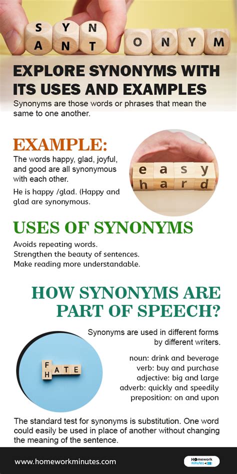 Exploring Synonyms and Related Concepts