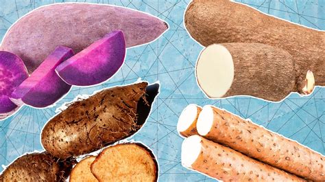 Exploring Unique Varieties of Divine Yam for Gastronomic Inspiration