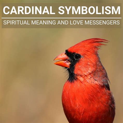 Exploring Varying Cultural Perspectives on the Symbolism of Cardinals in Dreams