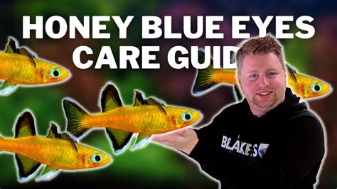 Exploring the Achievements of Honey Blu Eyes