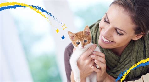 Exploring the Advantages of Owning a Sociable and Caring Feline Companion