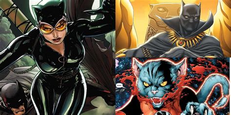 Exploring the Age of the Feline Superhero