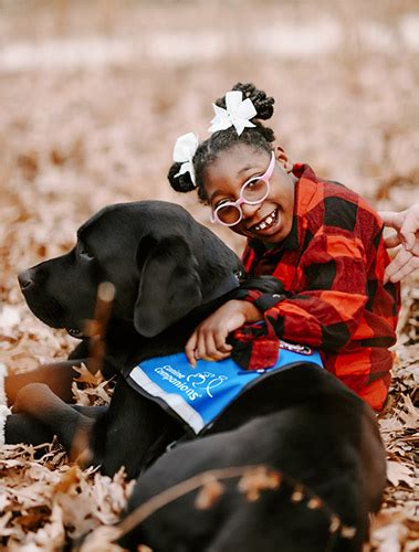 Exploring the Allure of an Ebony Canine Companion