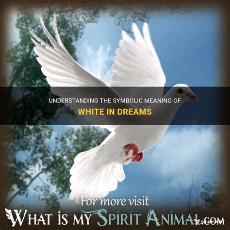 Exploring the Color White in Dream Interpretation