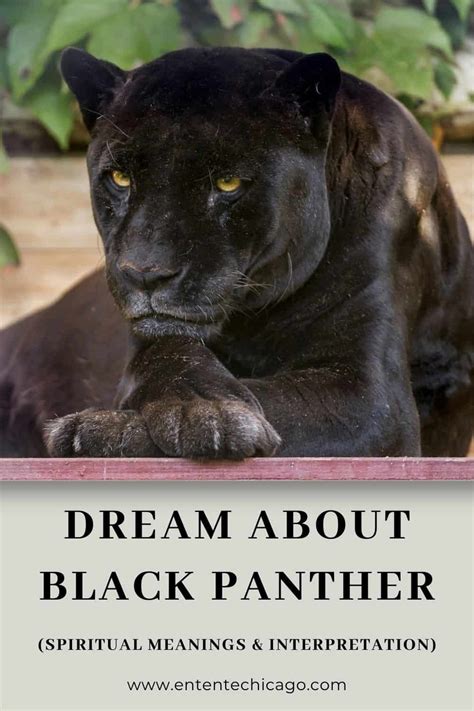 Exploring the Connection Between Panther Dreaming and One's Personal Life