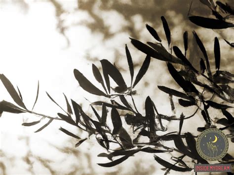 Exploring the Cultural Significance and Historical Context of Dreams Involving Olive Harvesting