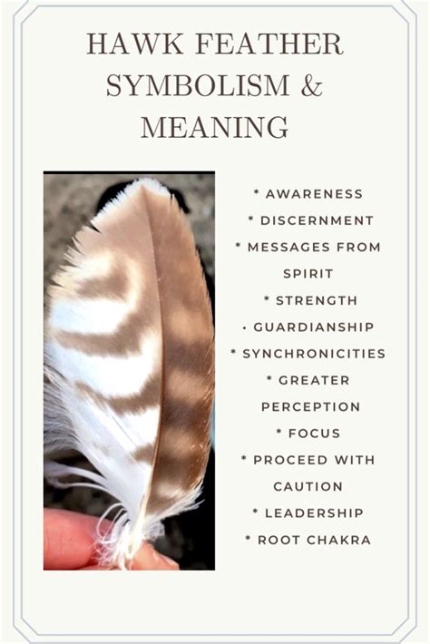 Exploring the Cultural Significance of Feather Symbolism in Dreams